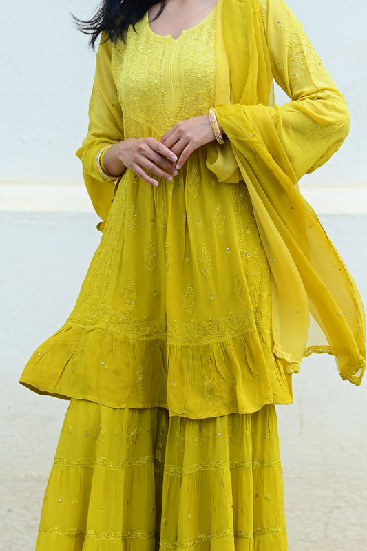 Regal Ombré Sharara