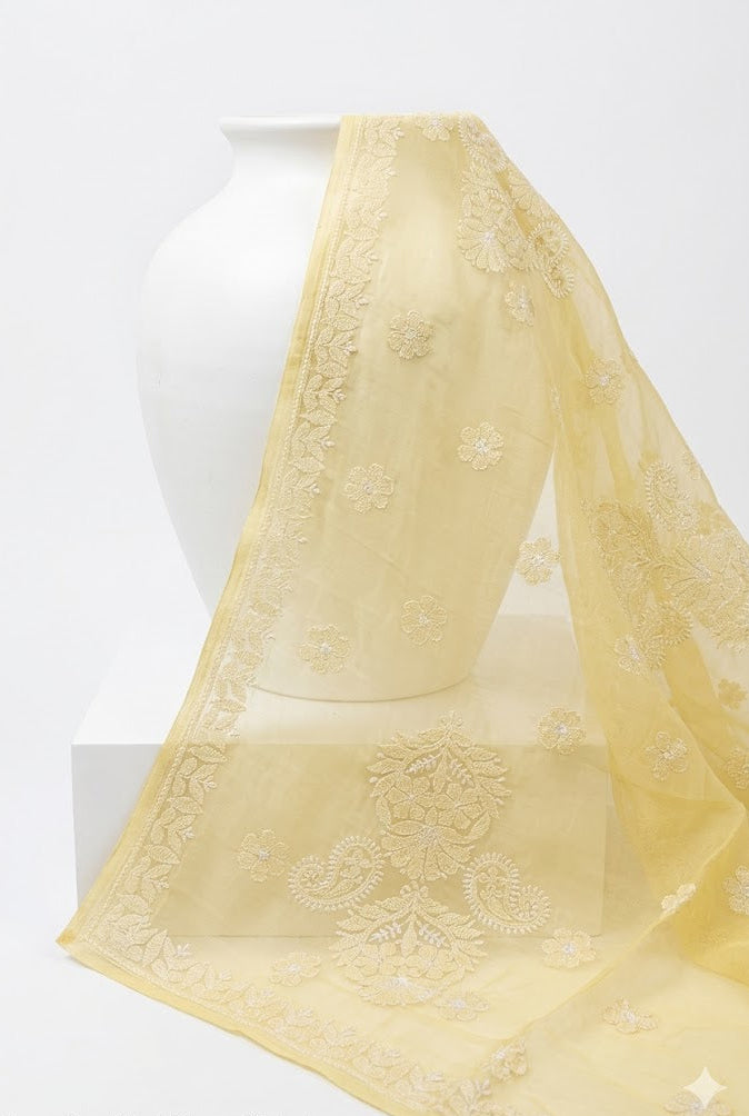 Sheer Cotton and Chikan Artistry